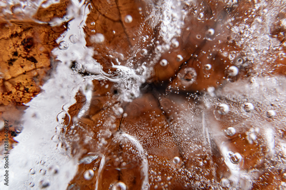 Poster close up macro shot of a frozen leaf in an ice block - for computer graphics, texturing, compositing