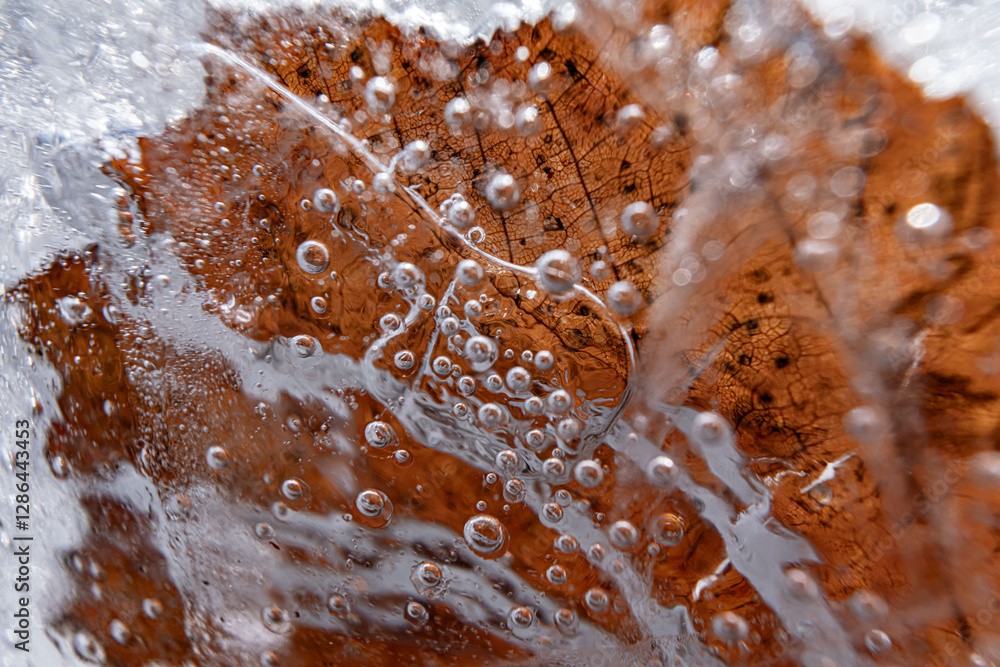 Poster close up macro shot of a frozen leaf in an ice block - for computer graphics, texturing, compositing