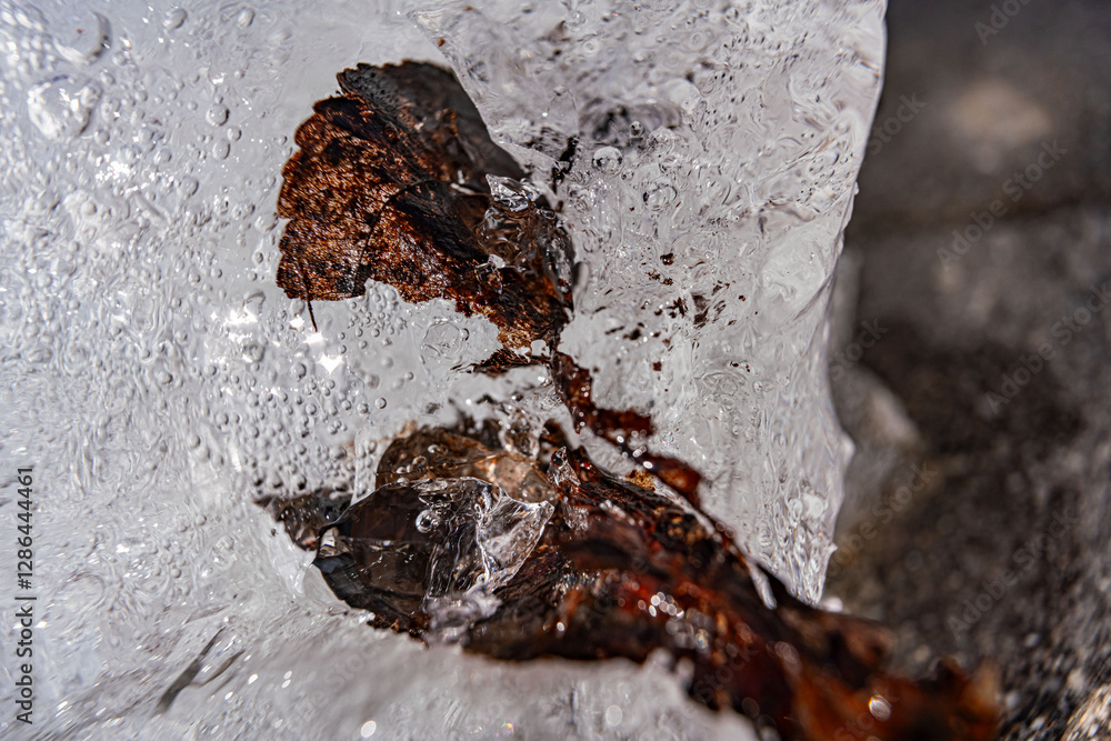 Poster close up macro shot of a frozen leaf in an ice block - for computer graphics, texturing, compositing