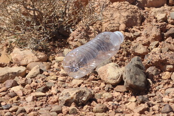 Empty plastic bottle lying on the ground