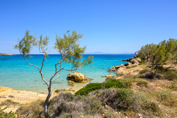 The coast of Ano Koufonisi island. Koufonisia, Small Cyclades, Greece