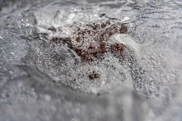 Close up macro shot of a frozen leaf in an ice block - for computer graphics, texturing, compositing or as a background