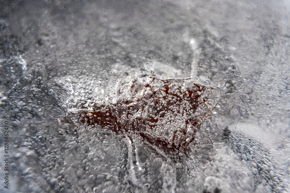 Poster close up macro shot of a frozen leaf in an ice block - for computer graphics, texturing, compositing