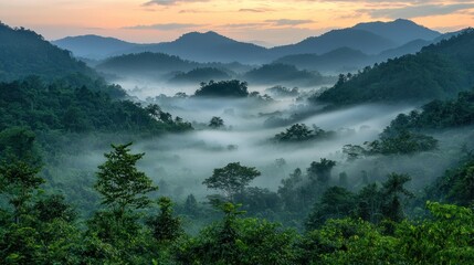 Misty Valley Landscape with Rolling Hills and Forest at Dawn