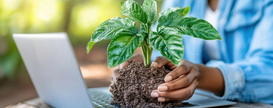Empowering Sustainability Explore the convergence of nature and technology with our captivating image featuring a Green tech interface, laptop displaying eco-friendly digital innovation icons Witness