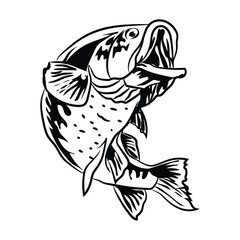 Fish art highly detailed in line art style. Fish silhouette vector