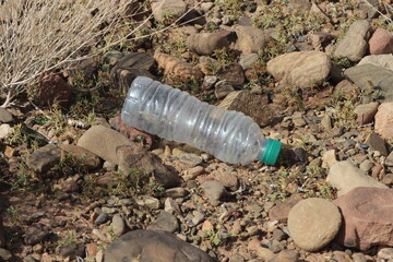 Fototapeta premium Empty plastic bottle lying on the ground