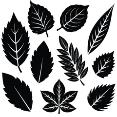 Black leaf icon set vector on white background