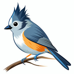Cute Cartoon Tufted Titmouse with Fluffy Feathers and Blue Orange Plumage

