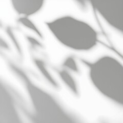 Delicate Shadows of Leaves on a Soft Background"