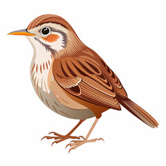 Detailed Small Sparrow Illustration with Brown and White Feathers and Orange Beak in Side Profile

