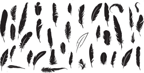 Feather vector icon Set. Pen illustration sign collection.