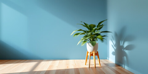Sunlit Minimalist Interior: A single, vibrant green plant in a minimalist white pot stands elegantly in a sun-drenched room against a textured wall. The sunlight casts a warm shadow. natural glow