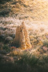 Clay monument surrounded by grass (Aguarales de Valpalmas - Spain)