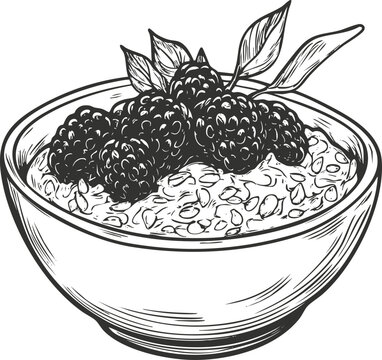 oatmeal bowl with blackberries sketch clip art preview