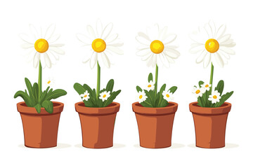 set of pot in daisy flower isolated on a white background Flat style cartoon vector illustration
