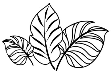  "Abstract Line Drawing of Tropical Leaves for Summer - SVG Design"