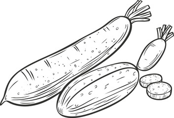 Hand-drawn black and white sketch of cucumbers and slices illustration.