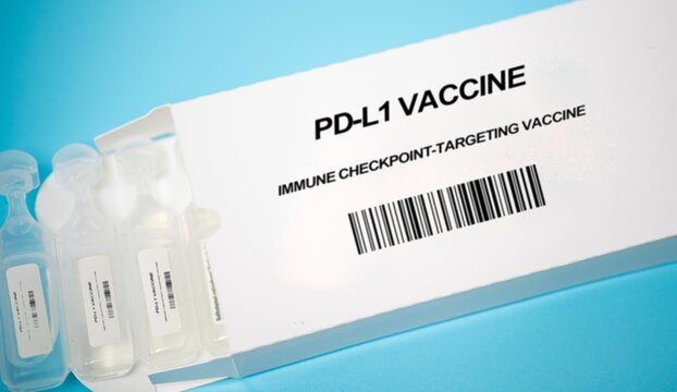 PD-L1 Vaccine