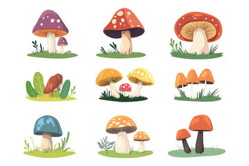 set of Mushroom Vector illustration isolated on a white background