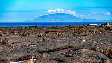 Tierwelten auf den Galapagos Inseln