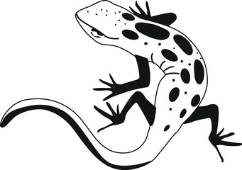 Scaly lizard black-and-white vector illustration