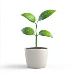 Business growth plant in pot isolated on white background