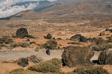 A lone hiker pauses on a desolate, rocky path, surrounded by the dramatic volcanic landscape of...