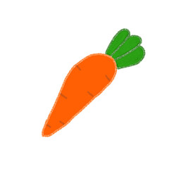 carrot vector illustration