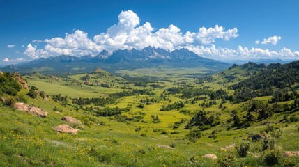 Naklejka premium Mountain valley panorama, summer, wildflowers, sunny day, travel poster