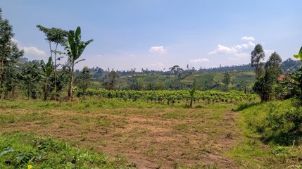 Scenic Rural Landscape with Lush Greenery and Terraced Hillsides