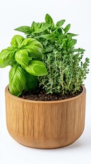 Fototapeta premium Fresh Herbs In Wooden Planter On White Background