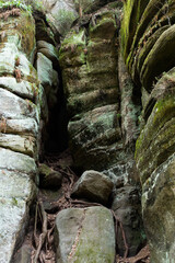 Majestic rock formations towering above lush green trees in Adršpašské skály park, Czech Republic.