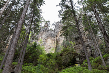 Majestic rock formations towering above lush green trees in Adršpašské skály park, Czech Republic.