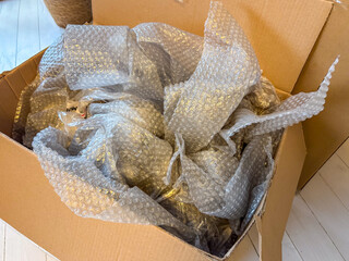 Open Cardboard Box with Bubble Wrap Packaging