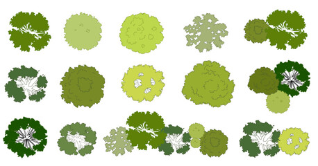 Vector set of Top view green tree for outdoor plan or map and architecture drawing, elements for environment and garden ,botanical elements ,Blooming flowers in spring,tropical plants element