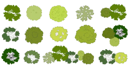 Fototapeten Vector set of Top view green tree for outdoor plan or map and architecture drawing, elements for environment and garden ,botanical elements ,Blooming flowers in spring,tropical plants element © Chanya_B