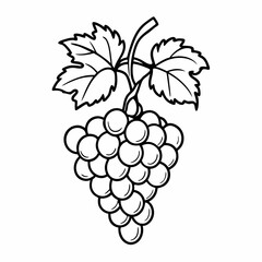 Outline Vector Illustration of a Grape Bunch with Leaves for Coloring Books
