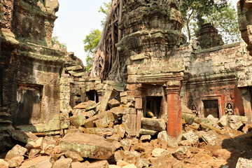 Fototapeta premium A courtyard inside the Ta Prohm Temple, filled with many big bricks, stones, red, green moss, lichens and a tree are growing on the buildings, Angkor Wat, Siem Reap, Cambodia