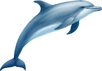 Fototapeta premium Watercolor vector illustration of a dolphin