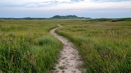 Winding path through a grassy prairie landscape with distant hill. Possible use Stock photo for travel, nature, or outdoor recreation publications