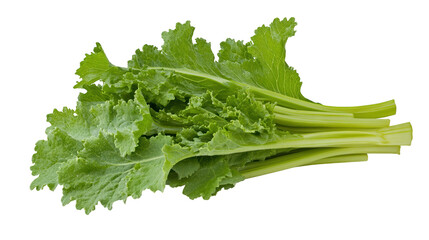 Vibrant green celery leaves on a dark background, fresh and healthy culinary ingredient