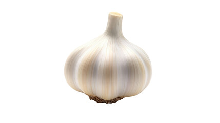 Closeup of a single white garlic bulb on contrasting black background, study in texture and light