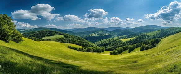 Serene Summer Landscape: Rolling Green Hills Under a Blue Sky