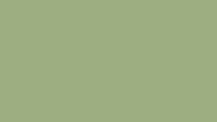 Sage Green Solid Color Background (5)