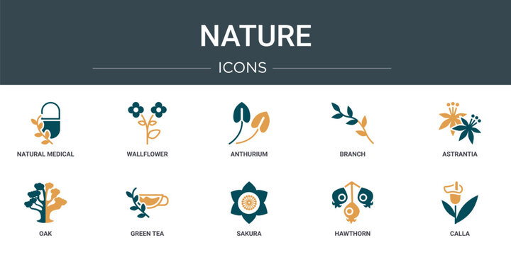 set of 10 outline web nature icons such as natural medical pills, wallflower, anthurium, branch, astrantia, oak, green tea vector icons for report, presentation, diagram, web design, mobile app