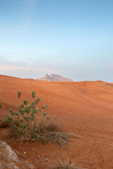 Fossil Rock archeological place in UAE sand desert in Sharjah. 