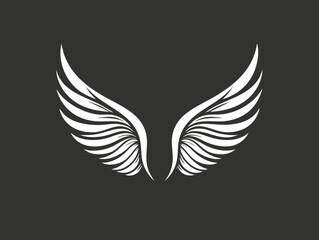 Obraz premium White angel wings on a black background, symbolizing freedom and grace.