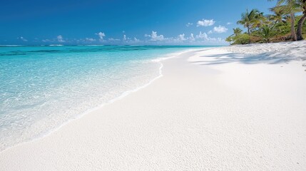 Tropical beach, turquoise water, palm trees, sunny day, travel