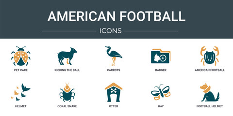 set of 10 outline web american football icons such as pet care, kicking the ball, carrots, badger, american football ball, helmet, coral snake vector icons for report, presentation, diagram, web